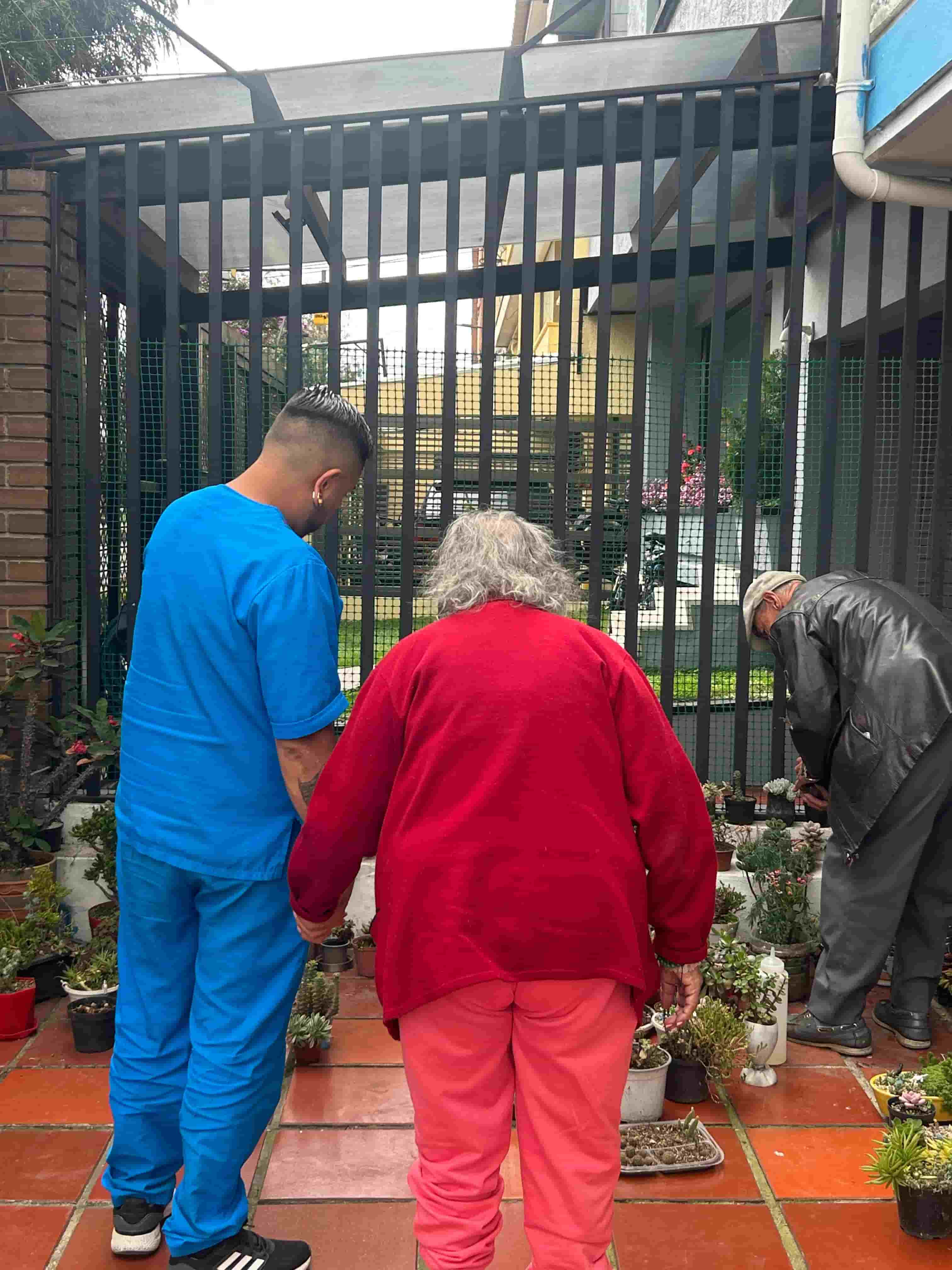 Compañía y bienestar